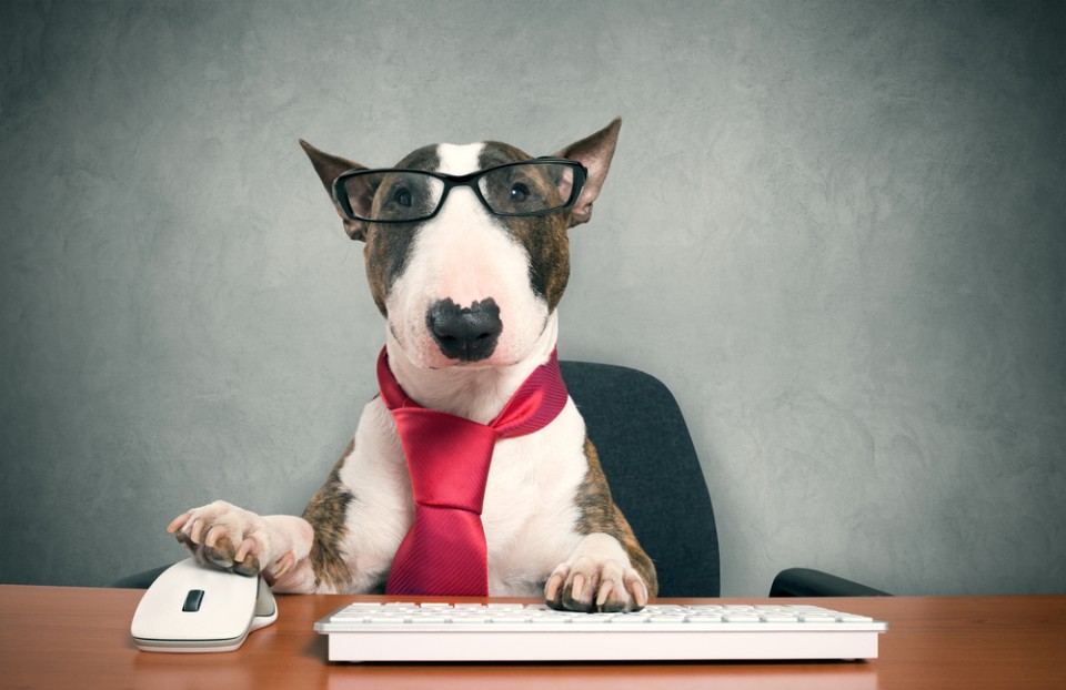 Essential Eco-Friendly Cleaning at The Office