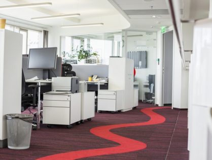 5 Reasons You Need a Professional Office Carpet Cleaner